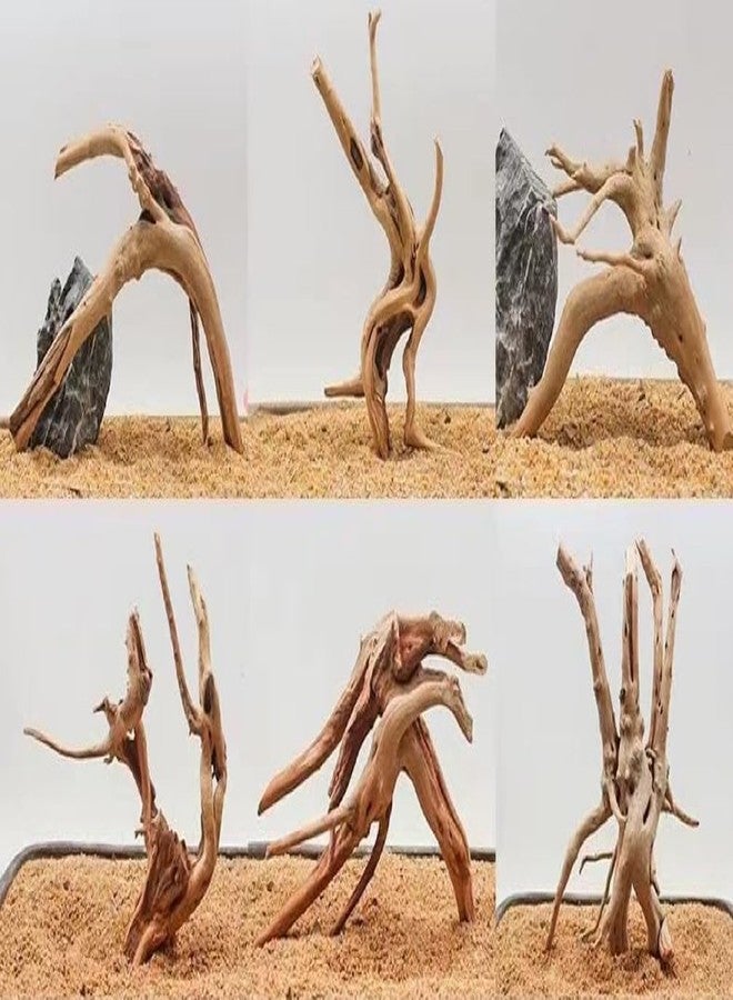 Zhuluck 1Pc Natural Aquarium Driftwood Branches Wood Aquarium Trunk Driftwood Tree Fish Tank Log Decoration Plant Stump, Aquarium Decoration Wood Aquarium Thematic Ornaments Aquarium Accessories (8-10cm) - Image 2